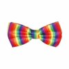 Multicolour Bow Tie