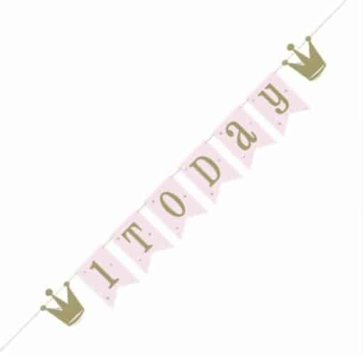 Ballerina 1st Birthday Party Banner