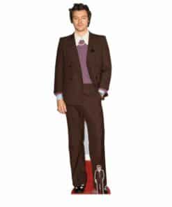 Harry Styles Cardboard Cutout