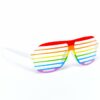 Pride Shutter Glasses