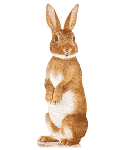 Rabbit Cardboard Cutout