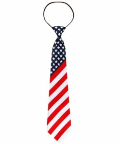 American Flag Tie