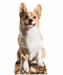 Corgi Lifesize Cardboard Cutout 76cm