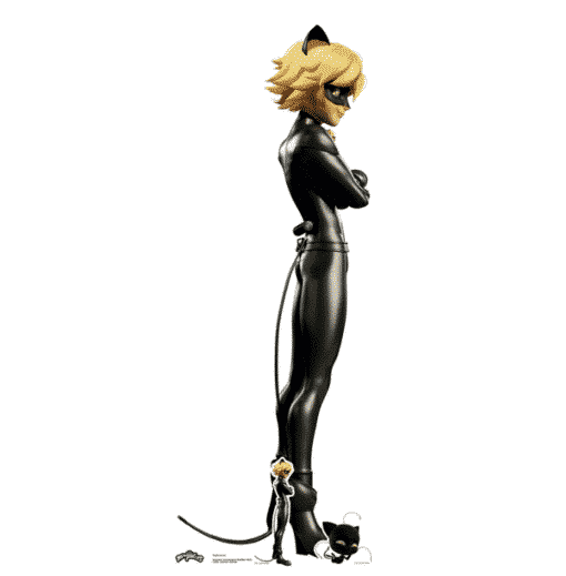 Cat Noir Miraculous Cardboard Cutout