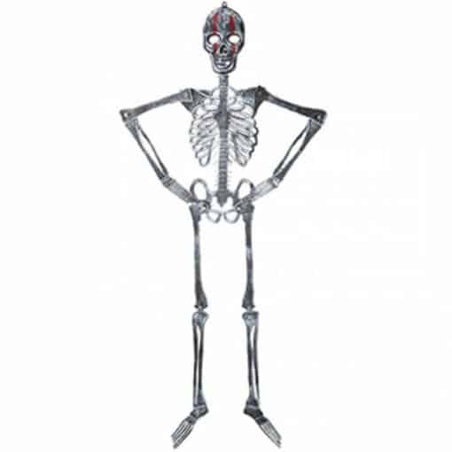 Flat Hanging Skeleton