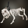 Halloween Skeleton Dog with Lead