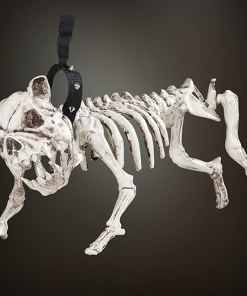 Halloween Skeleton Dog with Lead