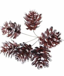 Frosted Pine Cone Bunch