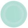 Mint Eco-Friendly Paper Plates