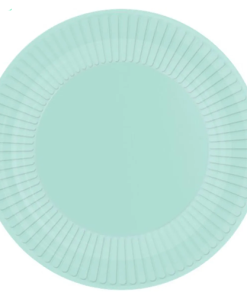 Mint Eco-Friendly Paper Plates