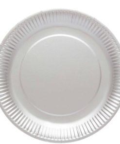 Silver Eco-Friendly Paper Plates