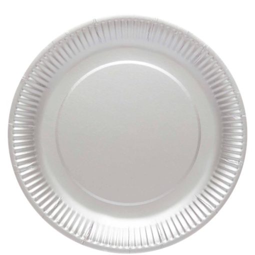 Silver Eco-Friendly Paper Plates