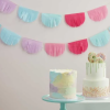 Pastel Tissue Paper Fringe Bunting