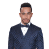 Lewis Hamilton Life Size Cardboard Cut Out Decoration