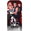 NWO WWE Stand In Cardboard Cutout